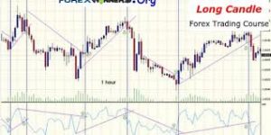 Barry Thornton - Long Candle Forex Trading System