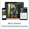 Blaine Bartlett – Three Dimensional Coaching