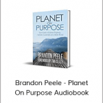 Brandon Peele - Planet On Purpose Audiobook