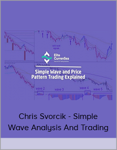 Chris Svorcik - Simple Wave Analysis And Trading