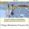 Connirae Andreas - 3 Days Wholeness Process HQ