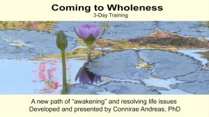 Connirae Andreas - 3 Days Wholeness Process HQ