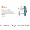 Coursera - Drugs and the Brain