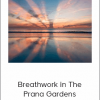 Dan Brule - Breathwork in The Prana Gardens