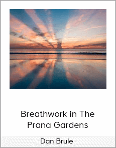 Dan Brule - Breathwork in The Prana Gardens