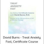 David Burns - Treat Anxiety Fast, Certificate Course