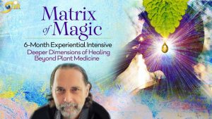 David Crow - Matric of Magic - 6 - Month Experiential Intensive