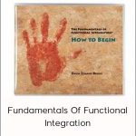 David Zemach-Bersin - Fundamentals Of Functional Integration