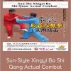 Deng Fuming - Sun-Style Xingyi Ba Shi Qang Actual Combat