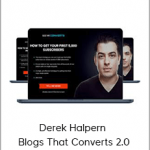 Derek Halpern - Blogs That Converts 2.0