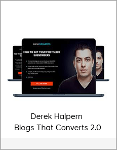 Derek Halpern - Blogs That Converts 2.0