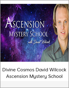 Divine Cosmos David Wilcock Ascension Mystery School