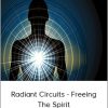 Donna Eden with David Feinstein - Radiant Circuits  Freeing the Spirit