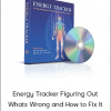 Donna Eden – Energy Tracker Figuring Out Whats Wrong and How to Fix It