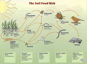 Dr. Elaine Ingham - Compost Tea