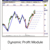 Dynamic Profit Module