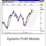 Dynamic Profit Module