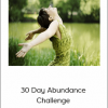 Erika Awakening - 30 Day Abundance Challenge