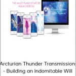 Gene Ang - Arcturian Thunder Transmissions - Building an Indomitable Will