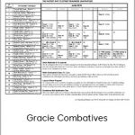 Gracie Combatives