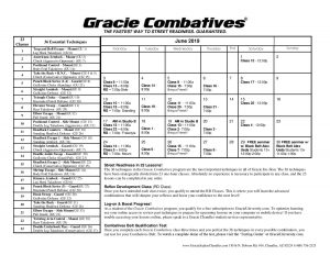 Gracie Combatives