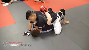 Henry Akins - Hidden Jiu Jitsu Vale Tudo