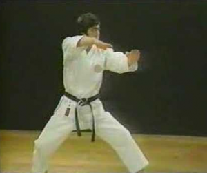 Hirokazu Kanazawa - Mastering Karate Dan-Kata NTSC TUTORIAL