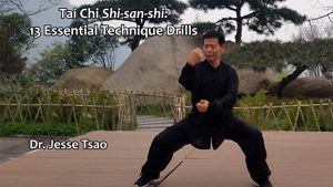 Jesse Tsao - Tai Chi Shi-san-shi - 13 Essential Technique Drills