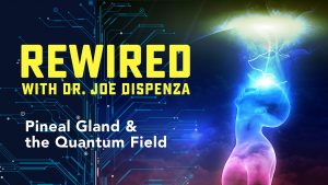 Joe Dispenza - Rewired Episode 10: Pineal Gland & the Quantum Field (2019)