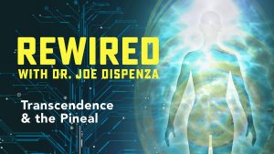 Joe Dispenza - Rewired Episode 11: Transcendence & the Pineal (2019)