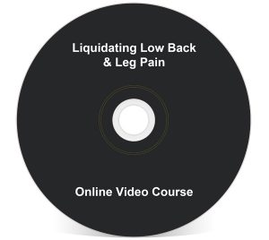 John Iams - PRRT Mini Course - Liquidating Low Back & Leg Pain