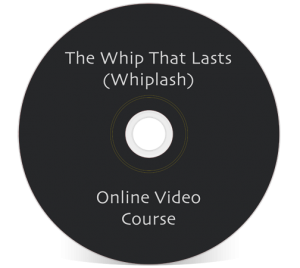 John Iams - PRRT Mini Course - The Whip That Lasts