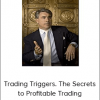 John L.Person - Trading Triggers. The Secrets to Profitable Trading