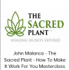 John Malanca - The Sacred Plant - How To Make It Work For You Masterclass