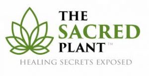 John Malanca - The Sacred Plant - How To Make It Work For You Masterclass