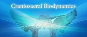 Judah Lyons - Craniosacral Biodynamics