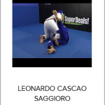 LEONARDO CASCAO SAGGIORO - SWEEP THE WORLD