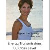 Lynn McGonagill - Energy Transmissions By Class Level