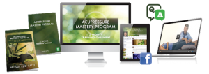 Michael Reed Gach - Acupressure Mastery Program, Month 1