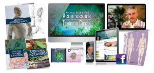 Michael Reed Gach - Acupressure Training Circle, Module 01