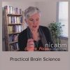 NICABM - Practical Brain Science