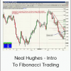 Neal Hughes - Intro To Fibonacci Trading