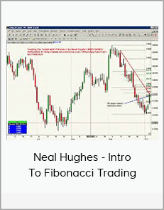 Neal Hughes - Intro To Fibonacci Trading