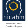 Nicabm - Work with Clients Emotional Triggers