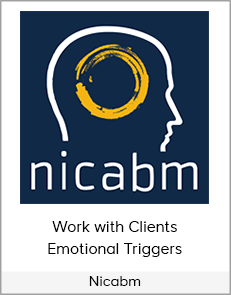 Nicabm - Work with Clients Emotional Triggers