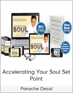 Panache Desai - Accelerating Your Soul Set Point