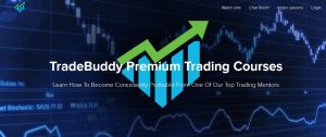 Penny Stock Mastery - TradeBuddy Teachable