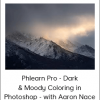 Phlearn Pro - Dark & Moody Coloring in Photoshop - with Aaron Nace