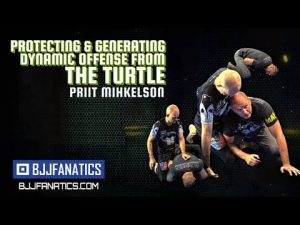 Priit Mihkelson - Protecting & Generating Dynamic Offense From The Turtle