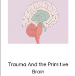 Rick Wilkes And Cathy VArtuli - Trauma And the Primitive Brain